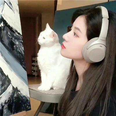 是非之地